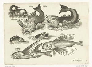 Fantastiske vannlevende dyr, inkludert delfiner og spermhval Libelivs diverse Genera piscium complectens (serietittel) Ferskvannsfisk, marin fisk, frosker, krepsdyr og sjødyr (serietittel) av Anonymous