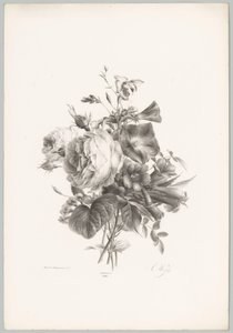 Roser og kalkformede blomster Flower and Fruit Studies (...) 10. episode (serietittel) av Anton Weiss