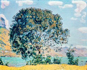 Ukjent bilde av Ferdinand Hodler