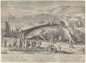Hval strandet ved Berckhey, 1598