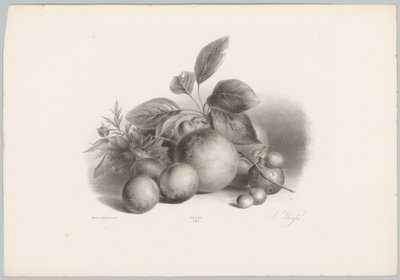 Blomster, nektariner og hasselnøtter Flower and Fruit Studies (...) 10. episode (serietittel) av Anton Weiss