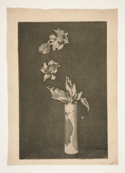 Proof for La Chine (svart-hvitt versjon) av Theodore Roussel
